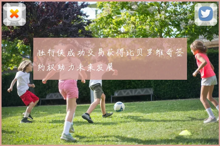 独行侠成功交易获得比贝罗维奇签约权助力未来发展