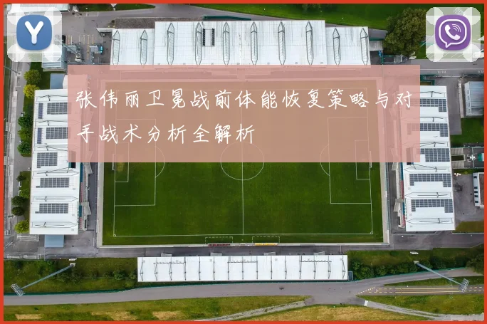 张伟丽卫冕战前体能恢复策略与对手战术分析全解析