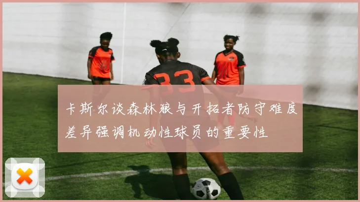 卡斯尔谈森林狼与开拓者防守难度差异强调机动性球员的重要性